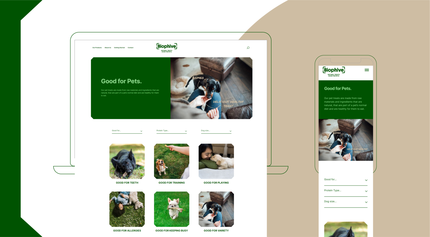 Biophive Website Case Study 03